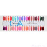 Caramia Color Swatch Chart #073-108